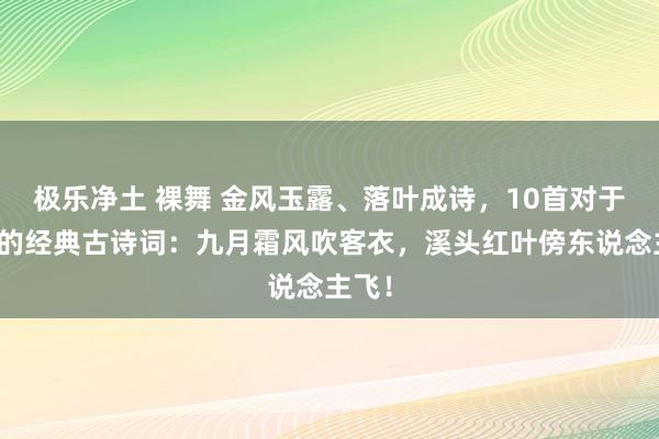 极乐净土 裸舞 金风玉露、落叶成诗，10首对于九月的经典古诗词：九月霜风吹客衣，溪头红叶傍东说念主飞！