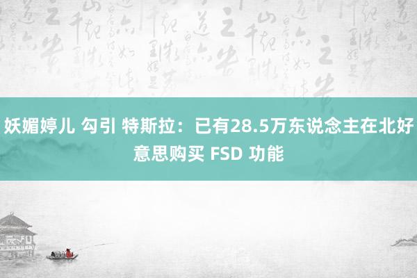 妖媚婷儿 勾引 特斯拉：已有28.5万东说念主在北好意思购买 FSD 功能