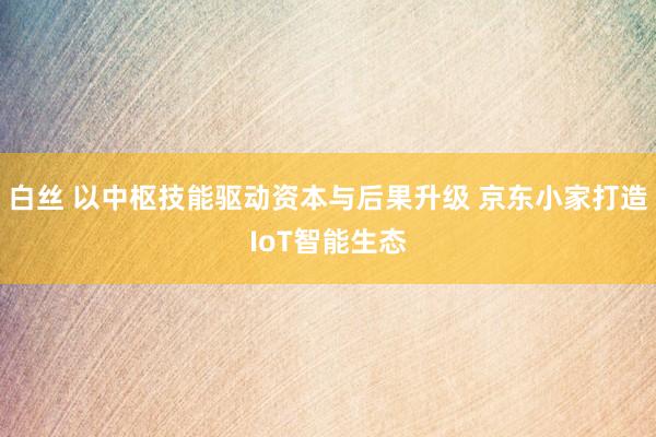 白丝 以中枢技能驱动资本与后果升级 京东小家打造IoT智能生态