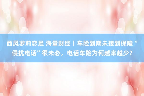 西风萝莉恋足 海量财经丨车险到期未接到保障“侵扰电话”很未必，电话车险为何越来越少？