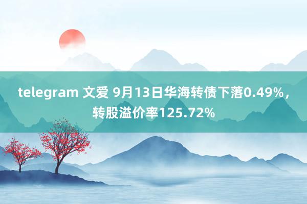 telegram 文爱 9月13日华海转债下落0.49%，转股溢价率125.72%