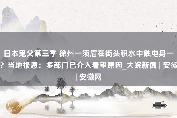 日本鬼父第三季 徐州一须眉在街头积水中触电身一火？当地报恩：多部门已介入看望原因_大皖新闻 | 安徽网