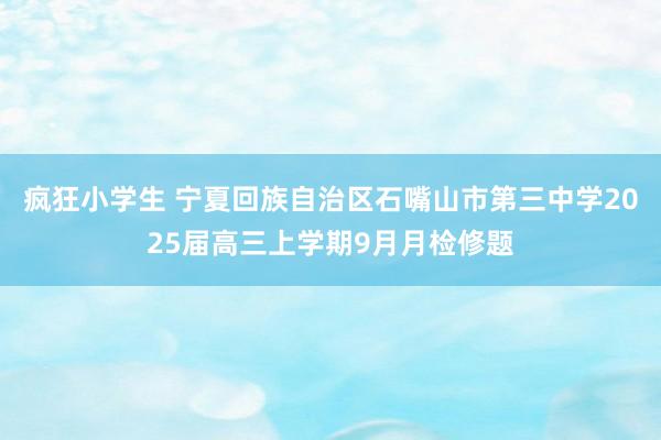 疯狂小学生 宁夏回族自治区石嘴山市第三中学2025届高三上学期9月月检修题