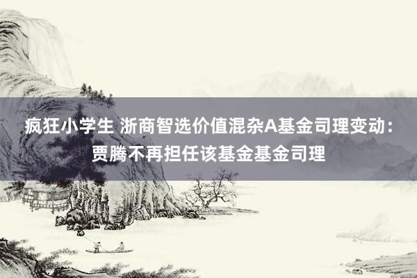 疯狂小学生 浙商智选价值混杂A基金司理变动：贾腾不再担任该基金基金司理