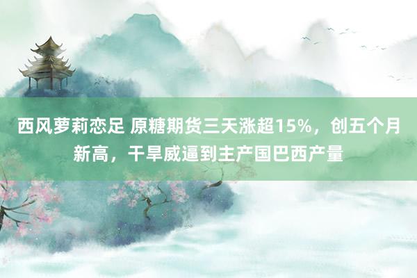 西风萝莉恋足 原糖期货三天涨超15%，创五个月新高，干旱威逼到主产国巴西产量