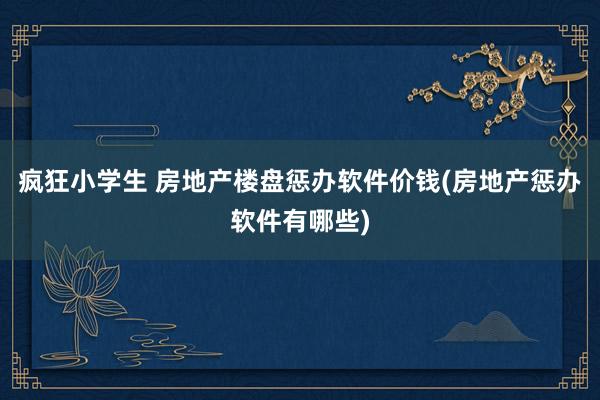 疯狂小学生 房地产楼盘惩办软件价钱(房地产惩办软件有哪些)