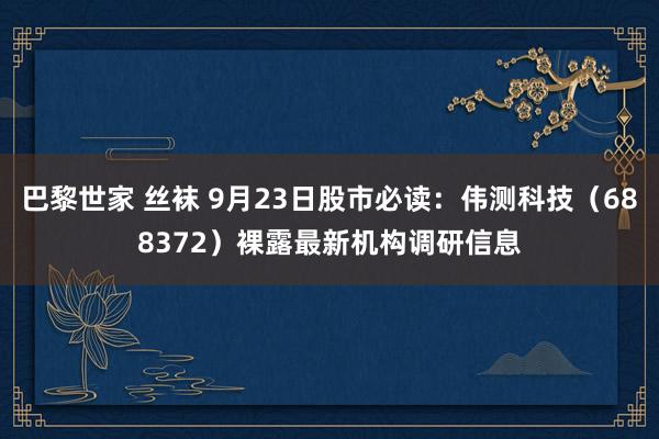 巴黎世家 丝袜 9月23日股市必读：伟测科技（688372）裸露最新机构调研信息