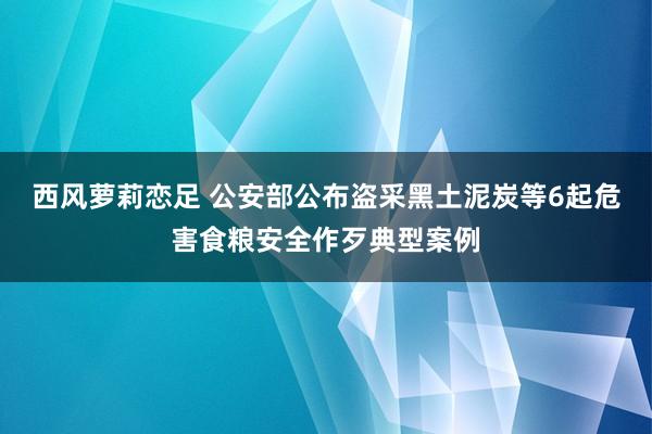 西风萝莉恋足 公安部公布盗采黑土泥炭等6起危害食粮安全作歹典型案例