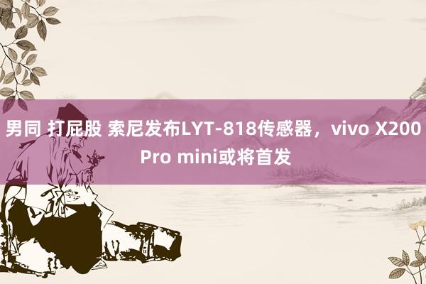 男同 打屁股 索尼发布LYT-818传感器，vivo X200 Pro mini或将首发