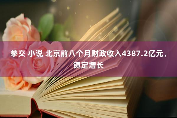 拳交 小说 北京前八个月财政收入4387.2亿元，镇定增长