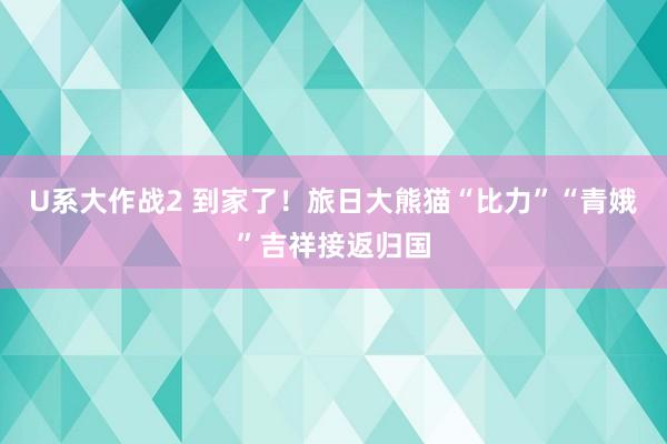 U系大作战2 到家了！旅日大熊猫“比力”“青娥”吉祥接返归国