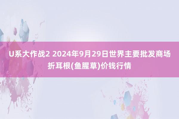 U系大作战2 2024年9月29日世界主要批发商场折耳根(鱼腥草)价钱行情