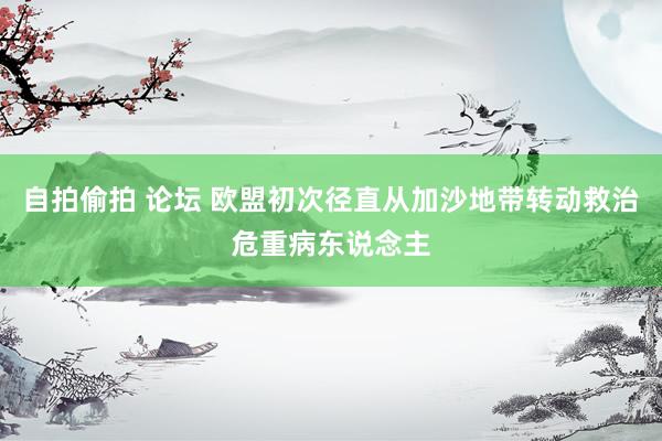 自拍偷拍 论坛 欧盟初次径直从加沙地带转动救治危重病东说念主