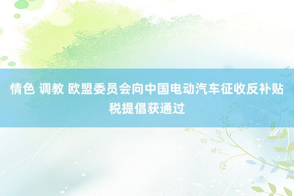 情色 调教 欧盟委员会向中国电动汽车征收反补贴税提倡获通过