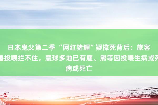 日本鬼父第二季 “网红猪鲤”疑撑死背后：旅客良善投喂拦不住，寰球多地已有鹿、熊等因投喂生病或死亡