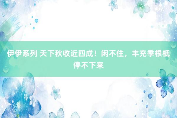 伊伊系列 天下秋收近四成！闲不住，丰充季根柢停不下来