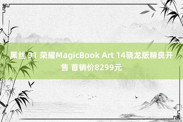 黑丝 91 荣耀MagicBook Art 14骁龙版精良开售 首销价8299元