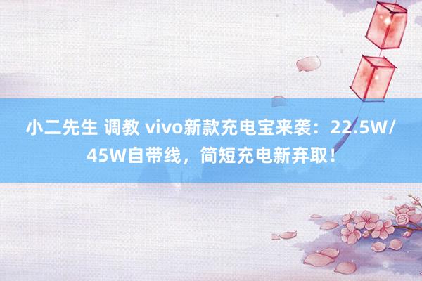 小二先生 调教 vivo新款充电宝来袭：22.5W/45W自带线，简短充电新弃取！