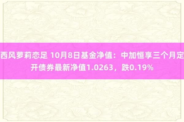 西风萝莉恋足 10月8日基金净值：中加恒享三个月定开债券最新净值1.0263，跌0.19%