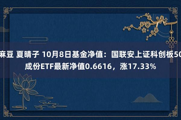 麻豆 夏晴子 10月8日基金净值：国联安上证科创板50成份ETF最新净值0.6616，涨17.33%