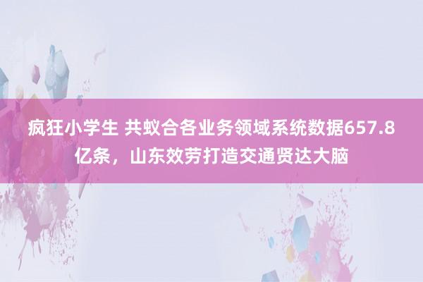 疯狂小学生 共蚁合各业务领域系统数据657.8亿条，山东效劳打造交通贤达大脑