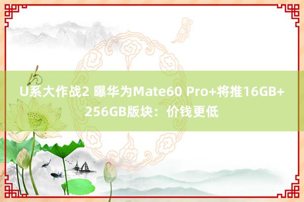 U系大作战2 曝华为Mate60 Pro+将推16GB+256GB版块：价钱更低