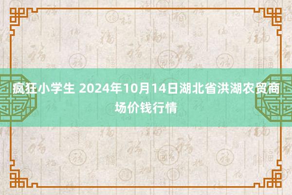 疯狂小学生 2024年10月14日湖北省洪湖农贸商场价钱行情