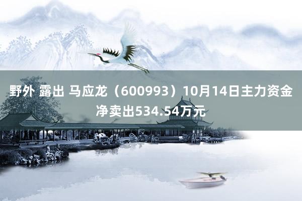 野外 露出 马应龙（600993）10月14日主力资金净卖出534.54万元