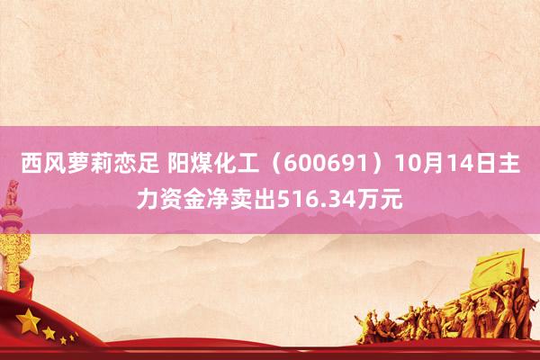 西风萝莉恋足 阳煤化工（600691）10月14日主力资金净卖出516.34万元