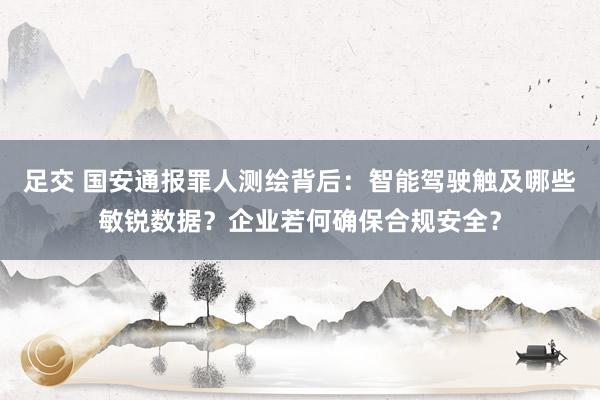 足交 国安通报罪人测绘背后：智能驾驶触及哪些敏锐数据？企业若何确保合规安全？