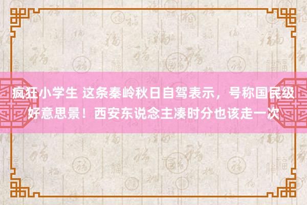 疯狂小学生 这条秦岭秋日自驾表示，号称国民级好意思景！西安东说念主凑时分也该走一次