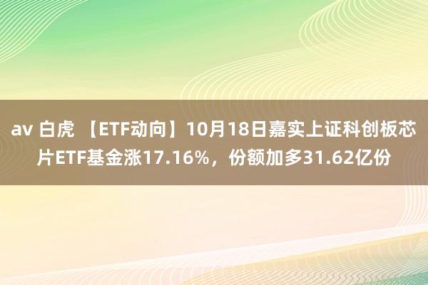 av 白虎 【ETF动向】10月18日嘉实上证科创板芯片ETF基金涨17.16%，份额加多31.62亿份