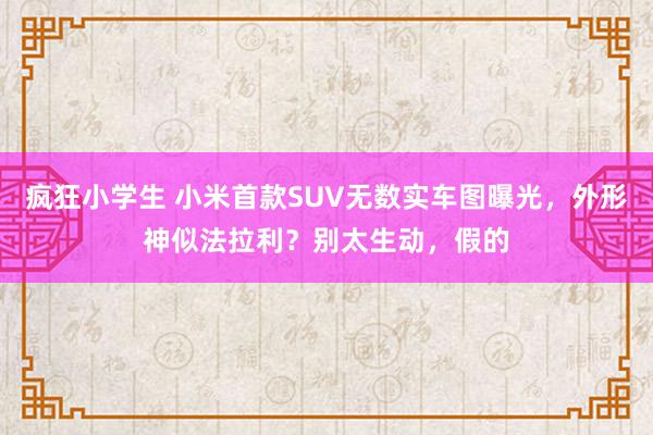 疯狂小学生 小米首款SUV无数实车图曝光，外形神似法拉利？别太生动，假的