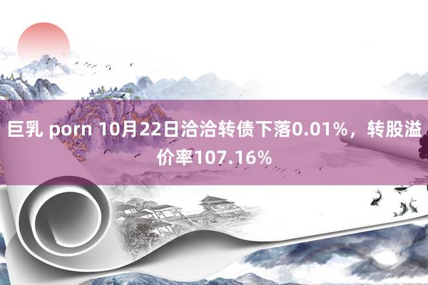 巨乳 porn 10月22日洽洽转债下落0.01%，转股溢价率107.16%