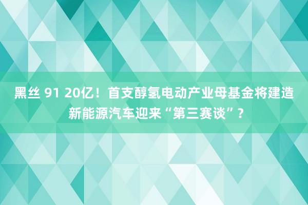 黑丝 91 20亿！首支醇氢电动产业母基金将建造 新能源汽车迎来“第三赛谈”？