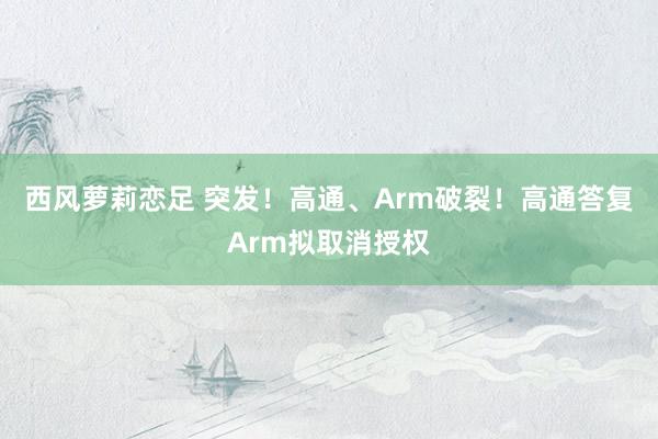 西风萝莉恋足 突发！高通、Arm破裂！高通答复Arm拟取消授权