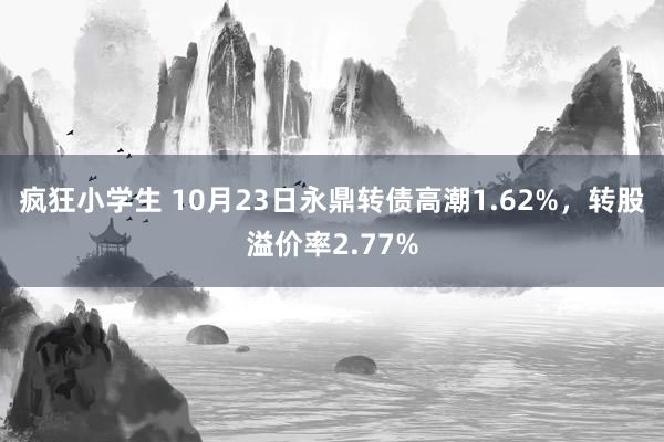 疯狂小学生 10月23日永鼎转债高潮1.62%，转股溢价率2.77%