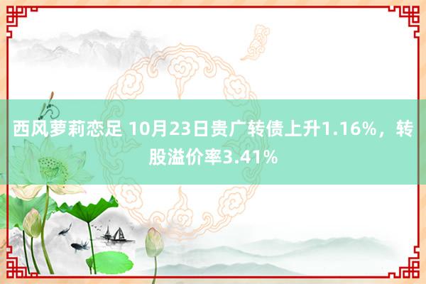 西风萝莉恋足 10月23日贵广转债上升1.16%，转股溢价率3.41%