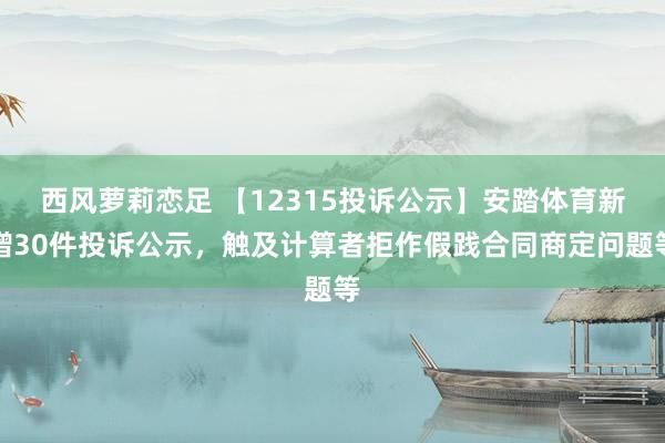 西风萝莉恋足 【12315投诉公示】安踏体育新增30件投诉公示，触及计算者拒作假践合同商定问题等