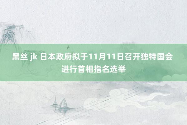 黑丝 jk 日本政府拟于11月11日召开独特国会 进行首相指名选举