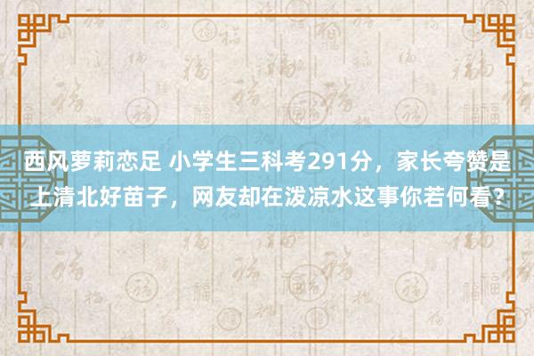 西风萝莉恋足 小学生三科考291分，家长夸赞是上清北好苗子，网友却在泼凉水这事你若何看？