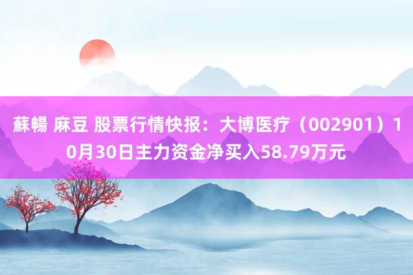 蘇暢 麻豆 股票行情快报：大博医疗（002901）10月30日主力资金净买入58.79万元