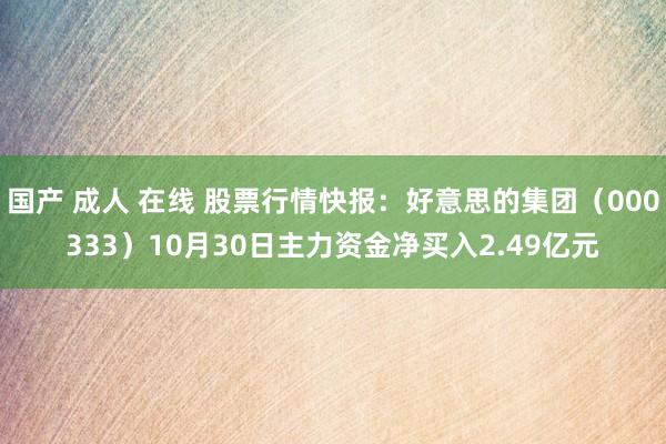 国产 成人 在线 股票行情快报：好意思的集团（000333）10月30日主力资金净买入2.49亿元