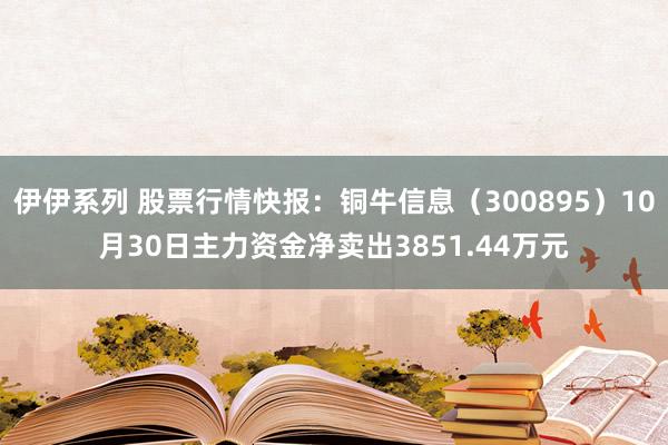 伊伊系列 股票行情快报：铜牛信息（300895）10月30日主力资金净卖出3851.44万元