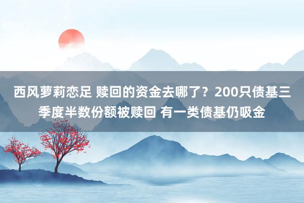 西风萝莉恋足 赎回的资金去哪了？200只债基三季度半数份额被赎回 有一类债基仍吸金