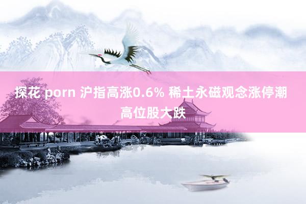 探花 porn 沪指高涨0.6% 稀土永磁观念涨停潮 高位股大跌