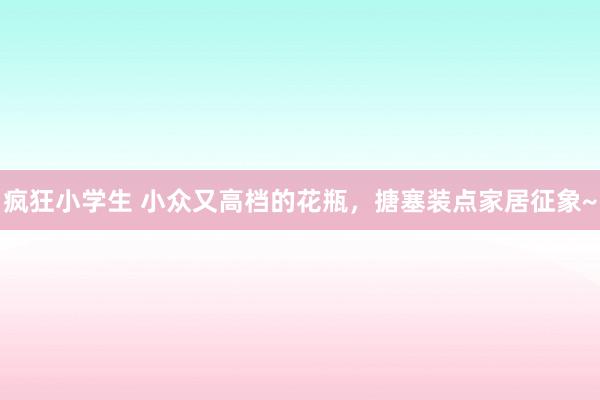 疯狂小学生 小众又高档的花瓶，搪塞装点家居征象~