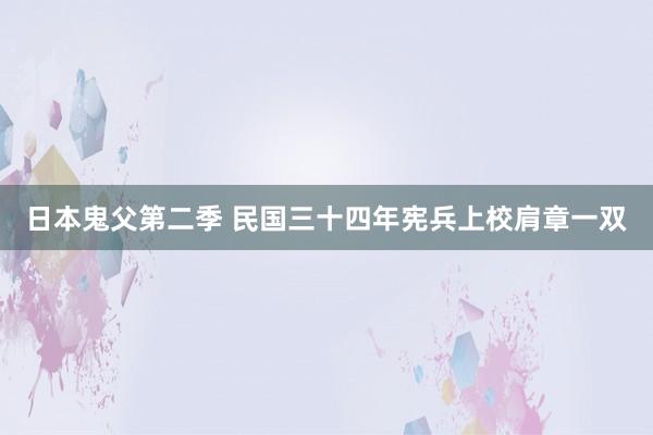 日本鬼父第二季 民国三十四年宪兵上校肩章一双