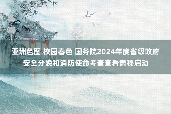 亚洲色图 校园春色 国务院2024年度省级政府安全分娩和消防使命考查查看肃穆启动