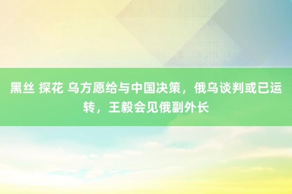 黑丝 探花 乌方愿给与中国决策，俄乌谈判或已运转，王毅会见俄副外长